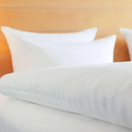 도린트 팔라스 4* 비스바덴