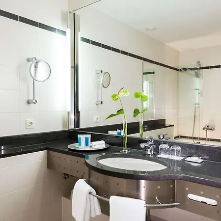 도린트 팔라스 호텔 비스바덴